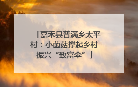 嘉禾县普满乡太平村：小菌菇撑起乡村振兴“致富伞”