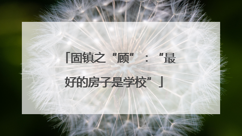 固镇之“顾”：“最好的房子是学校”