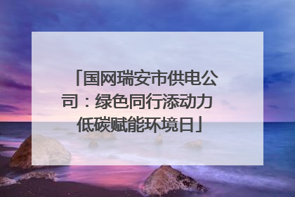 国网瑞安市供电公司：绿色同行添动力 低碳赋能环境日