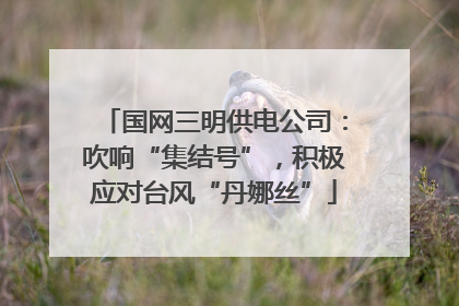 国网三明供电公司：吹响“集结号”，积极应对台风“丹娜丝”