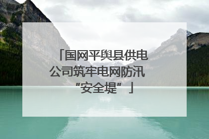 国网平舆县供电公司筑牢电网防汛“安全堤”
