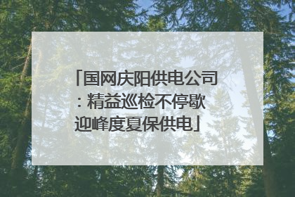 国网庆阳供电公司：精益巡检不停歇 迎峰度夏保供电