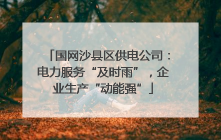 国网沙县区供电公司：电力服务“及时雨”，企业生产“动能强”