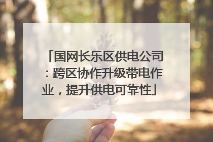 国网长乐区供电公司：跨区协作升级带电作业，提升供电可靠性