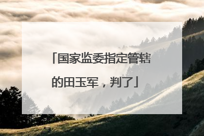 国家监委指定管辖的田玉军，判了