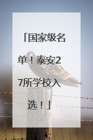 国家级名单！泰安27所学校入选！