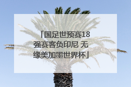 国足世预赛18强赛客负印尼 无缘美加墨世界杯