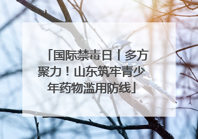 国际禁毒日丨多方聚力！山东筑牢青少年药物滥用防线