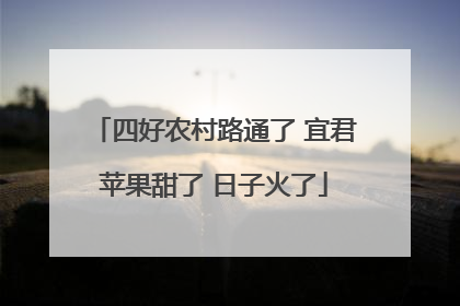 四好农村路通了 宜君苹果甜了 日子火了