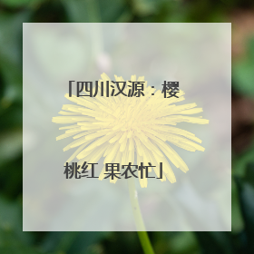 四川汉源：樱桃红 果农忙