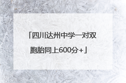 四川达州中学一对双胞胎同上600分+
