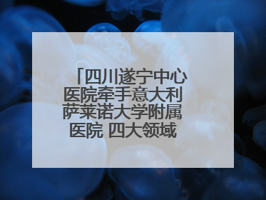四川遂宁中心医院牵手意大利萨莱诺大学附属医院 四大领域开展全面合作