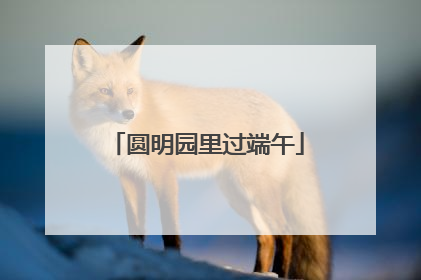 圆明园里过端午