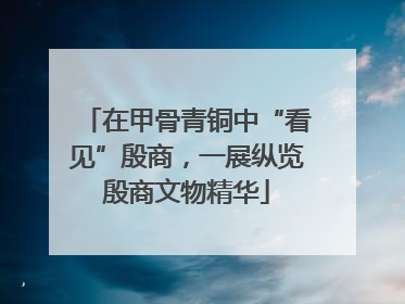 在甲骨青铜中“看见”殷商，一展纵览殷商文物精华
