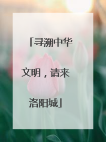 寻溯中华文明，请来洛阳城