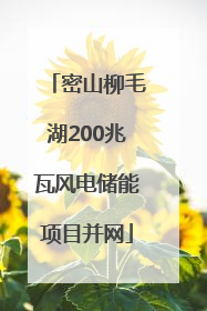 密山柳毛湖200兆瓦风电储能项目并网