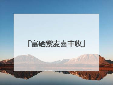富硒紫麦喜丰收