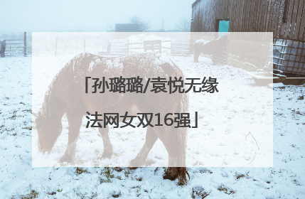 孙璐璐/袁悦无缘法网女双16强