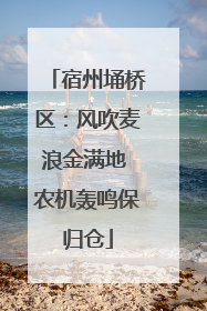 宿州埇桥区：风吹麦浪金满地 农机轰鸣保归仓