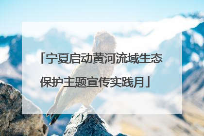 宁夏启动黄河流域生态保护主题宣传实践月