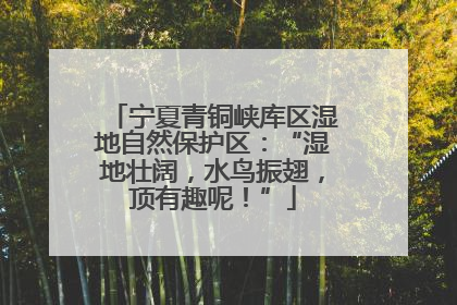 宁夏青铜峡库区湿地自然保护区：“湿地壮阔，水鸟振翅，顶有趣呢！”