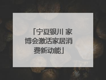 宁夏银川 家博会激活家居消费新动能
