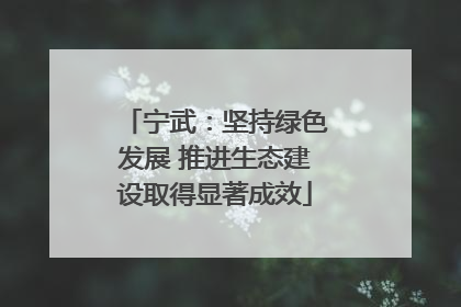 宁武：坚持绿色发展 推进生态建设取得显著成效