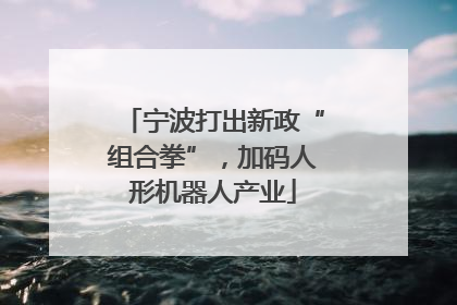 宁波打出新政“组合拳”，加码人形机器人产业