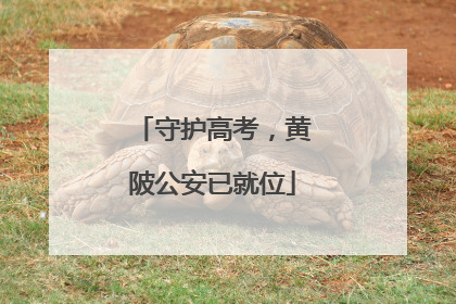 守护高考，黄陂公安已就位