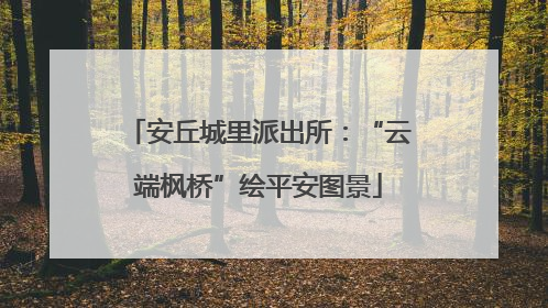 安丘城里派出所：“云端枫桥”绘平安图景