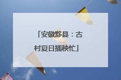 安徽黟县：古村夏日插秧忙