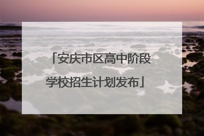 安庆市区高中阶段学校招生计划发布