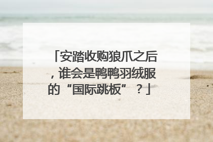 安踏收购狼爪之后，谁会是鸭鸭羽绒服的“国际跳板”？