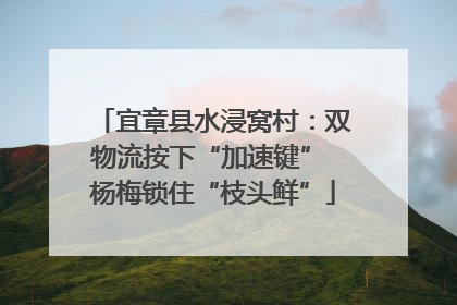 宜章县水浸窝村：双物流按下“加速键” 杨梅锁住“枝头鲜”