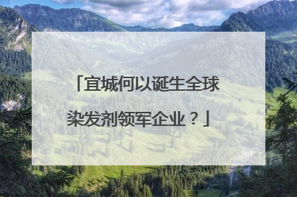 宜城何以诞生全球染发剂领军企业？