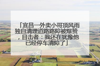 宜昌一外卖小哥顶风雨独自清理道路路障被爆赞，目击者：我还在犹豫他已经停车清障了