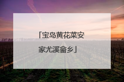 宝岛黄花菜安家尤溪畲乡