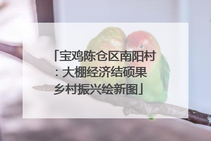 宝鸡陈仓区南阳村：大棚经济结硕果 乡村振兴绘新图
