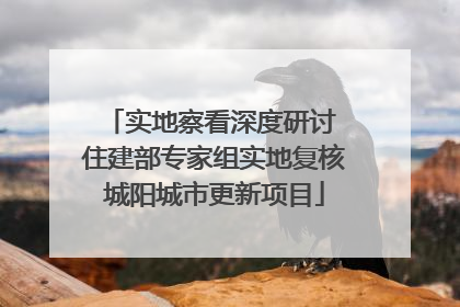 实地察看深度研讨 住建部专家组实地复核城阳城市更新项目
