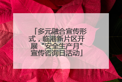 多元融合宣传形式，临港新片区开展“安全生产月”宣传咨询日活动