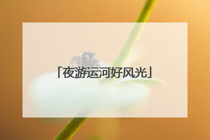 夜游运河好风光