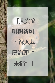 大兴文明树新风：深入基层治理“末梢”