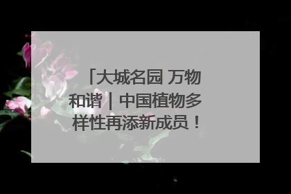 大城名园 万物和谐｜中国植物多样性再添新成员！它只在西藏墨脱