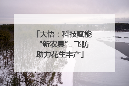 大悟：科技赋能“新农具” 飞防助力花生丰产