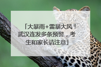 大暴雨+雷暴大风！武汉连发多条预警，考生和家长请注意