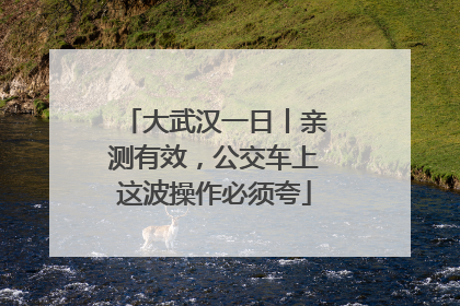 大武汉一日丨亲测有效，公交车上这波操作必须夸