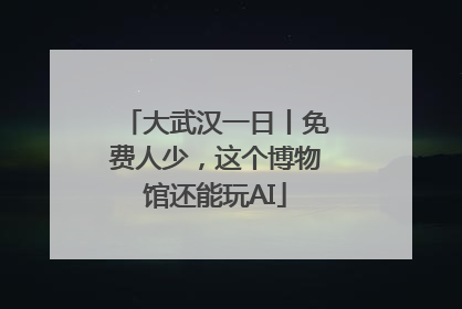 大武汉一日丨免费人少，这个博物馆还能玩AI