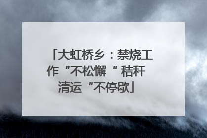 大虹桥乡：禁烧工作“不松懈“ 秸秆清运“不停歇