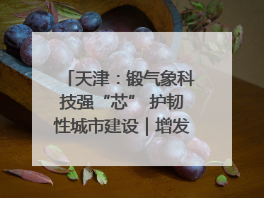 天津：锻气象科技强“芯” 护韧性城市建设｜增发国债气象项目落地见效系列报道