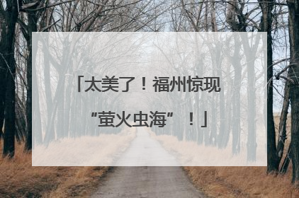 太美了！福州惊现“萤火虫海”！